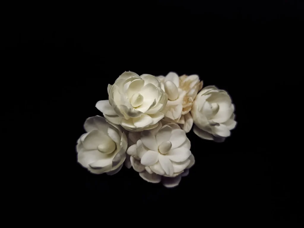 Jasminblüten – die Hauptnote von Bvlgari Jasmin Noir