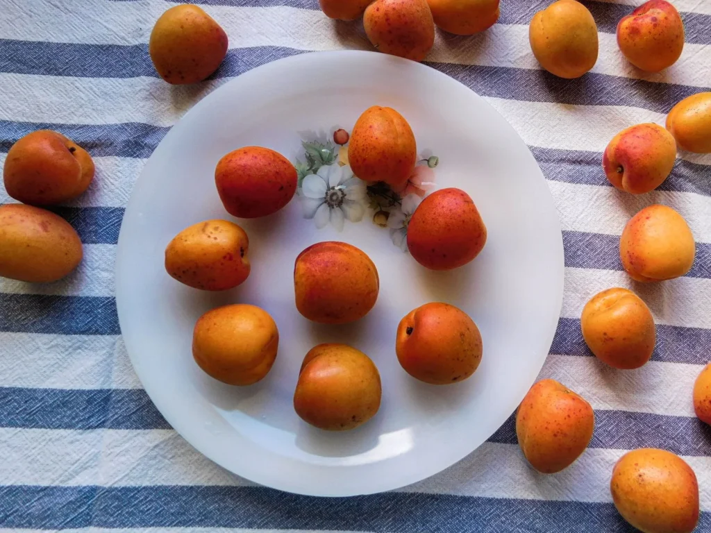 Aprikosen – die warme Fruchtnote von Chloé Narcisse