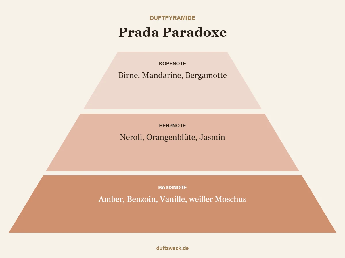 Duftpyramide von Prada Paradoxe mit Kopfnote, Herznote und Basisnote